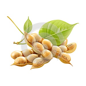 Soybeans on Transparent Background - Ai Generated
