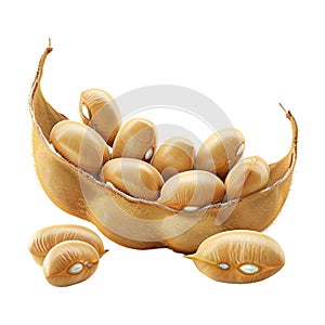 Soybeans on Transparent Background - Ai Generated