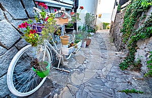 Sozopol, Bulgaria - Black Sea coastline photo