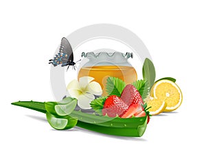 Spa Aloe Vera lemon strawberry and honey isolated on white background, vector and illustration.
