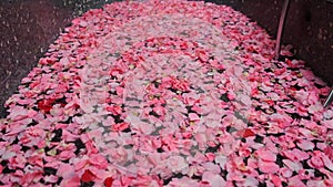 Spa, aroma bathtub with fresh flower petals