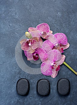 Spa aromatherapy background. Massage stones and orchid flowers