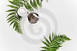 Spa background with Dead sea mud and fern leaves