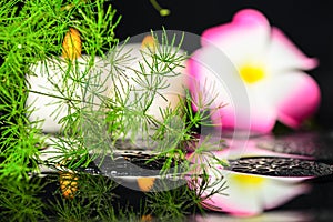 Spa background of green branch Asparagus with drops, plumeria fl