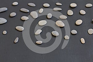 Spa background with grey stones, black modern background, cover, template with round gray stones, flat lay. Copy space for your
