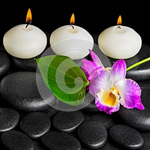 Spa background of row white candles, orchid flower dendrobium an