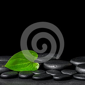 Spa background of zen stones and green leaf on black background