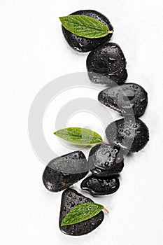 Spa basalt stones and green leaves with water drops