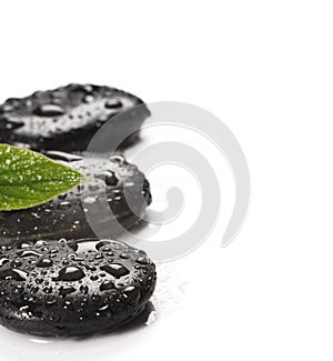 Spa basalt stones and green leaves with water drops