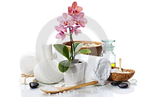 Spa composition with beautiful pink orchid