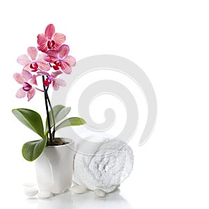 Spa composition with beautiful pink orchid