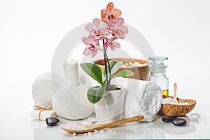 Spa composition with beautiful pink orchid over white