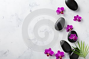 Spa composition with flowers, green leaves and massage stone on white background top view. Beauty treatment and relaxation concept