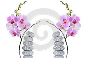 Spa composition of massage stones and two butterfly orchids with reflection isolated on white background