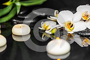 spa composition of orchid phalaenopsis, candles and black zen stones with drops on water with reflection