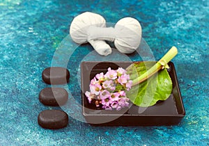 Spa composition: pink flowers, spa stones and massage balls