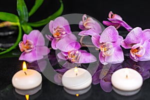 spa composition of orchid phalaenopsis, candles, green leaves and black zen stones with drops on water with reflection