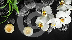 Spa composition white orchid phalaenopsis, candles and black zen stones with drops in water, panorama