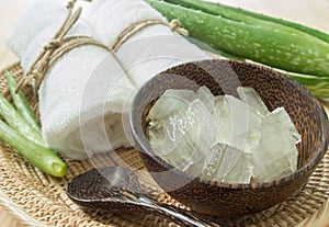 Spa concept with aloe vera