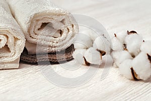 Spa concept. Cotton flower plant and cotton rolled towel on white wooden background with copy space
