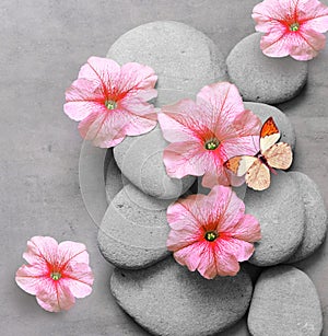 Spa concept with flower, butterfly and zen stones