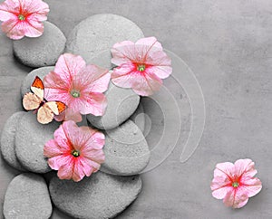 Spa concept with flower, butterfly and zen stones