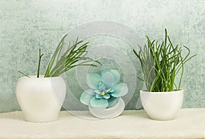 Spa concept with flower orchid, grass in bowls on blue background