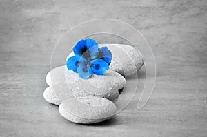 Spa concept with flower and zen stones