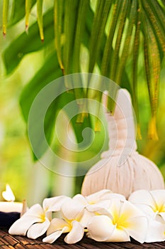 Spa concept herb salt and plumeria flowers on tropic leaf background