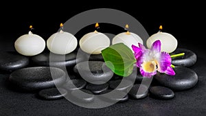 Spa concept of orchid flower dendrobium, green leaf Calla lily a