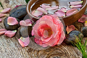 Spa concept. pink flower with zen pebbles