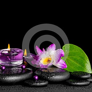 Spa concept of purple orchid dendrobium, leaf with dew, candles