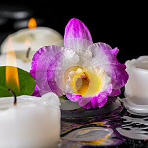 spa concept of purple orchid dendrobium, leaf with dew and candles on zen stones in ripple reflection water, closeup