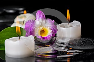 spa concept of purple orchid dendrobium, leaf with dew and candles on zen stones in ripple reflection water, closeup