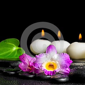 Spa concept of row white candles, orchid flower dendrobium