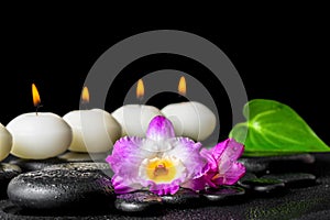 Spa concept of row white candles, orchid flower dendrobium and g