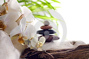Spa concept white orchid on stones