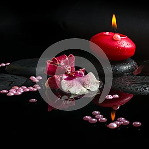 Spa concept of white and red orchid (cambria), red candle