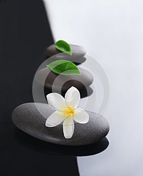 Spa concept zen stones