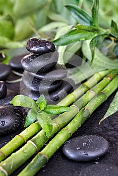 Spa-concept with zen stones and bamboo