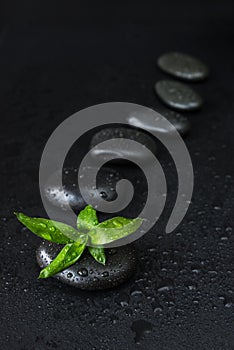 Spa-concept with zen stones and bamboo