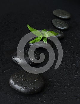 Spa-concept with zen stones and bamboo