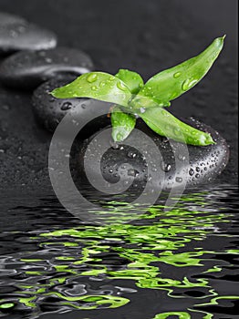 Spa-concept with zen stones and bamboo