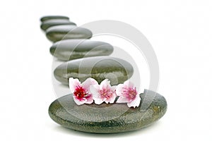 Spa concept with zen stones and flower