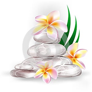 Zen stones and frangipani flowers