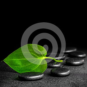 Spa concept of zen stones and green leaf on black background