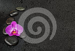 Spa-concept with zen stones and orchid flower