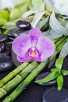 Spa concept with zen stones, orchid flower and bamboo