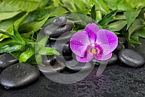 Spa concept with zen stones, orchid flower and bamboo