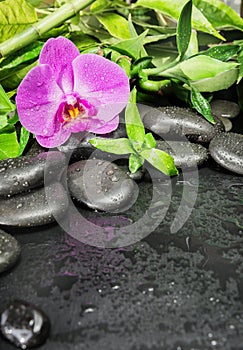 Spa concept with zen stones, orchid flower and bamboo